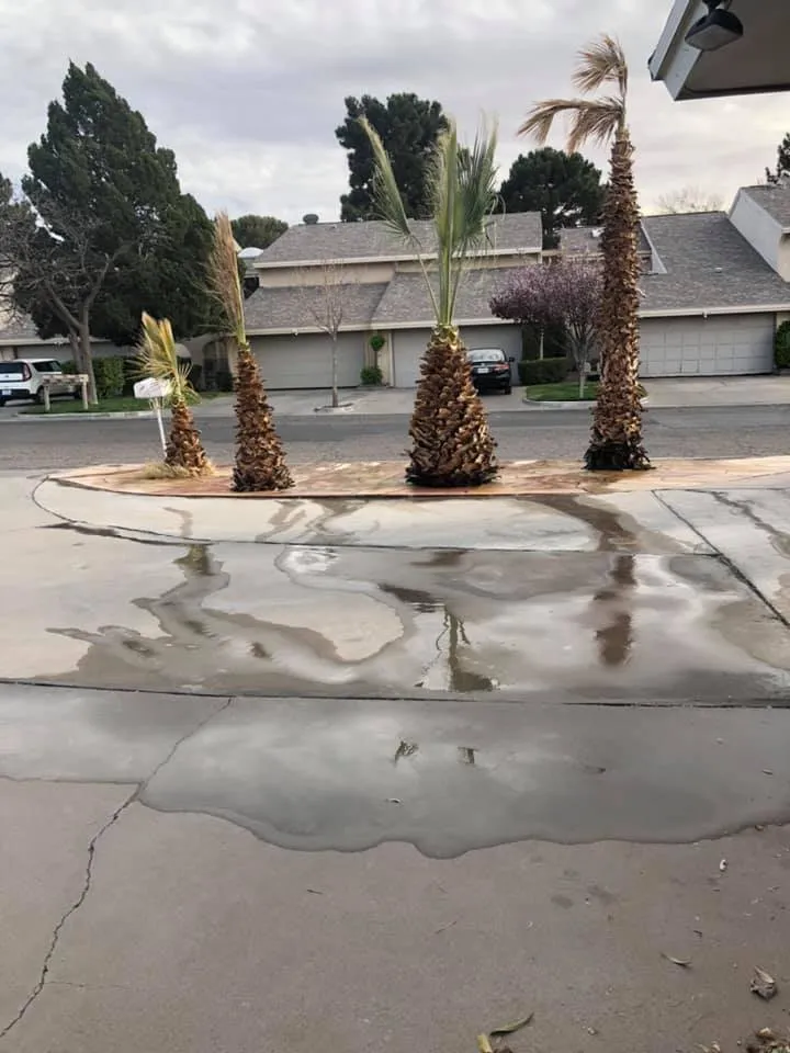 Local yard maintenance for year-round maintenance in El Paso, TX by Phillip's Yard Care