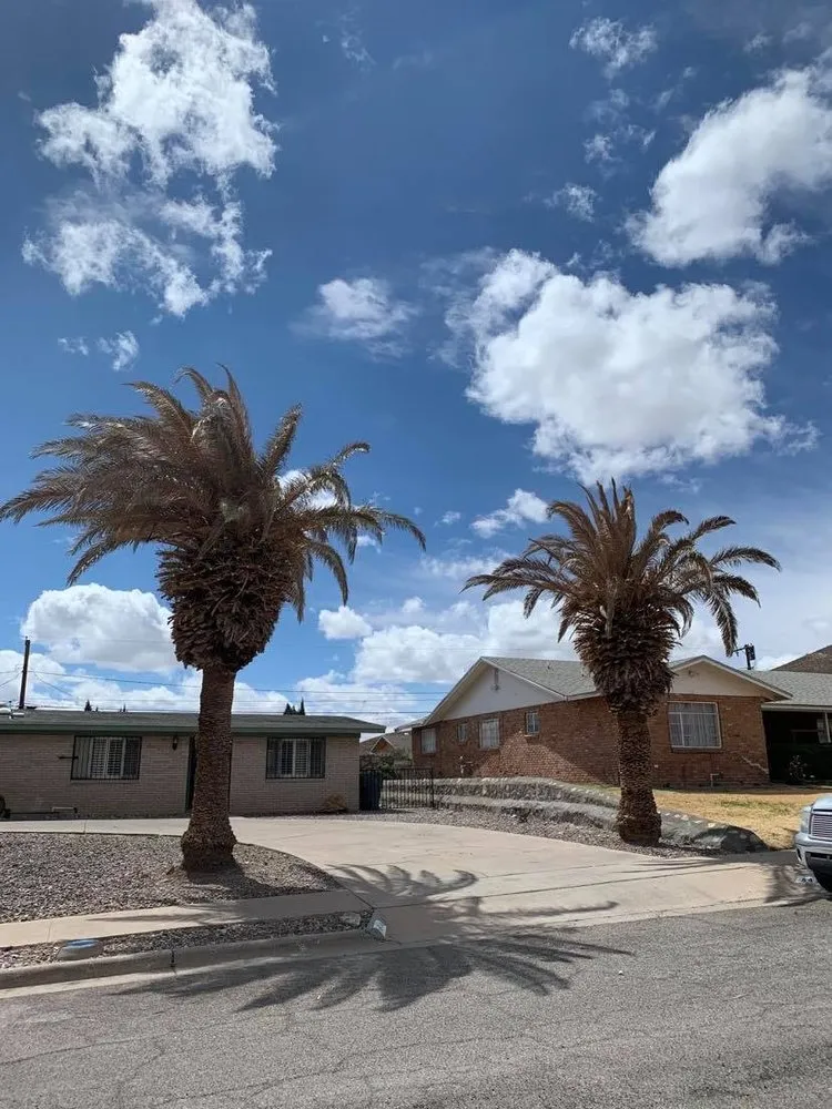 Expert lawn care service near you in El Paso, TX by Phillip's Yard Care