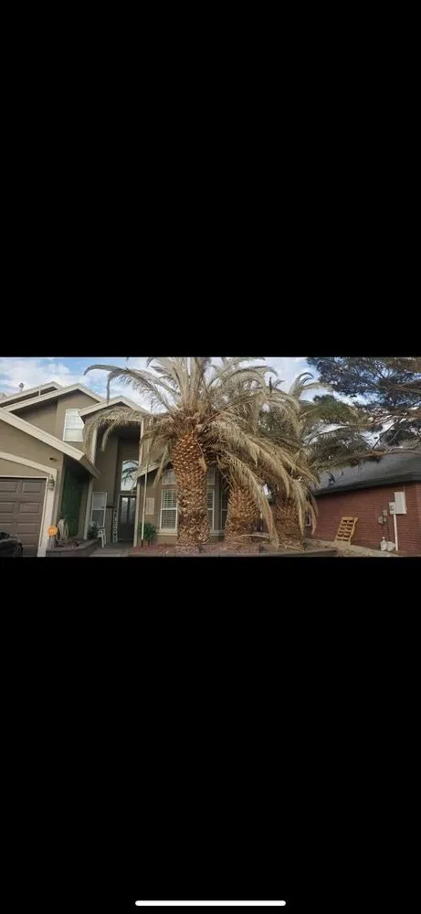 Affordable residential landscaping in El Paso, TX by Phillip's Yard Care