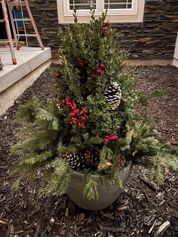 Reliable yard maintenance experts serving Kansas City, MO - Philly Lily