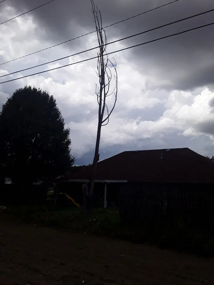 Local residential landscaping in Tupelo, MS - Phillys Steak