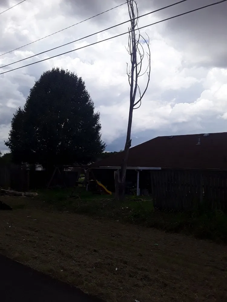 Custom yard maintenance near you in Tupelo, MS by Phillys Steak