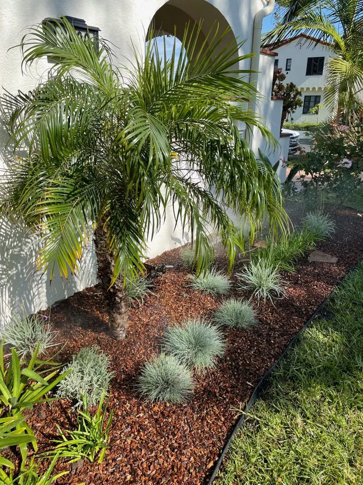 Local landscape installation experts serving Long Beach, CA - Phil's Arbor Care