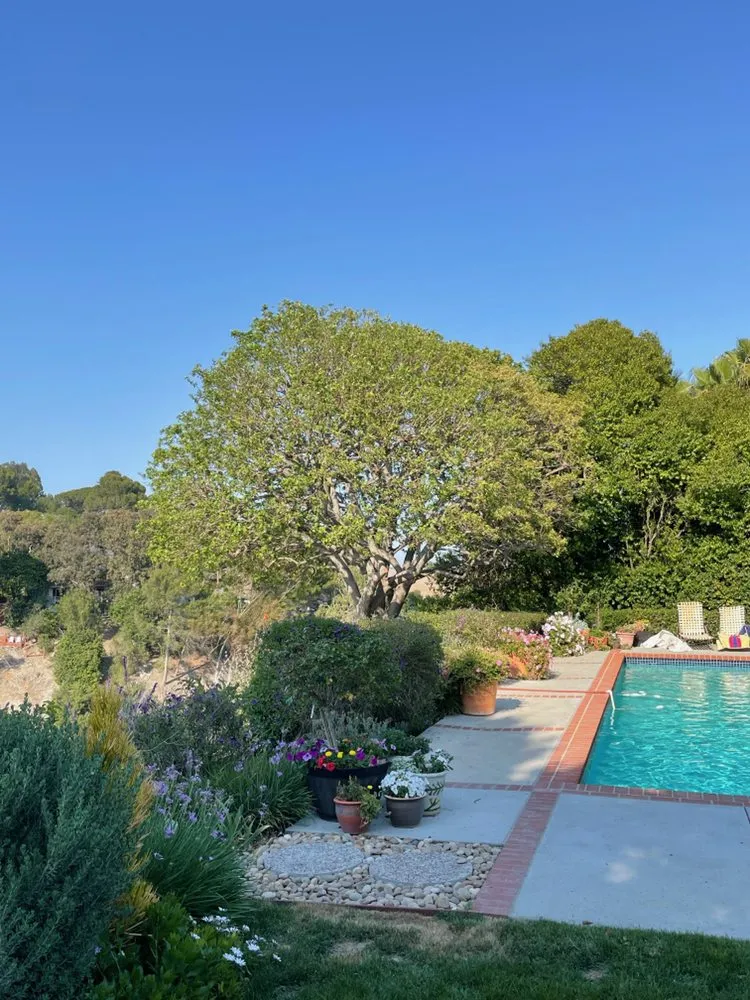 Custom landscape installation experts serving Long Beach, CA - Phil's Arbor Care