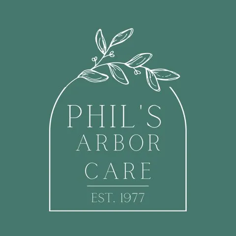 Reliable landscaping services in Long Beach, CA - Phil's Arbor Care