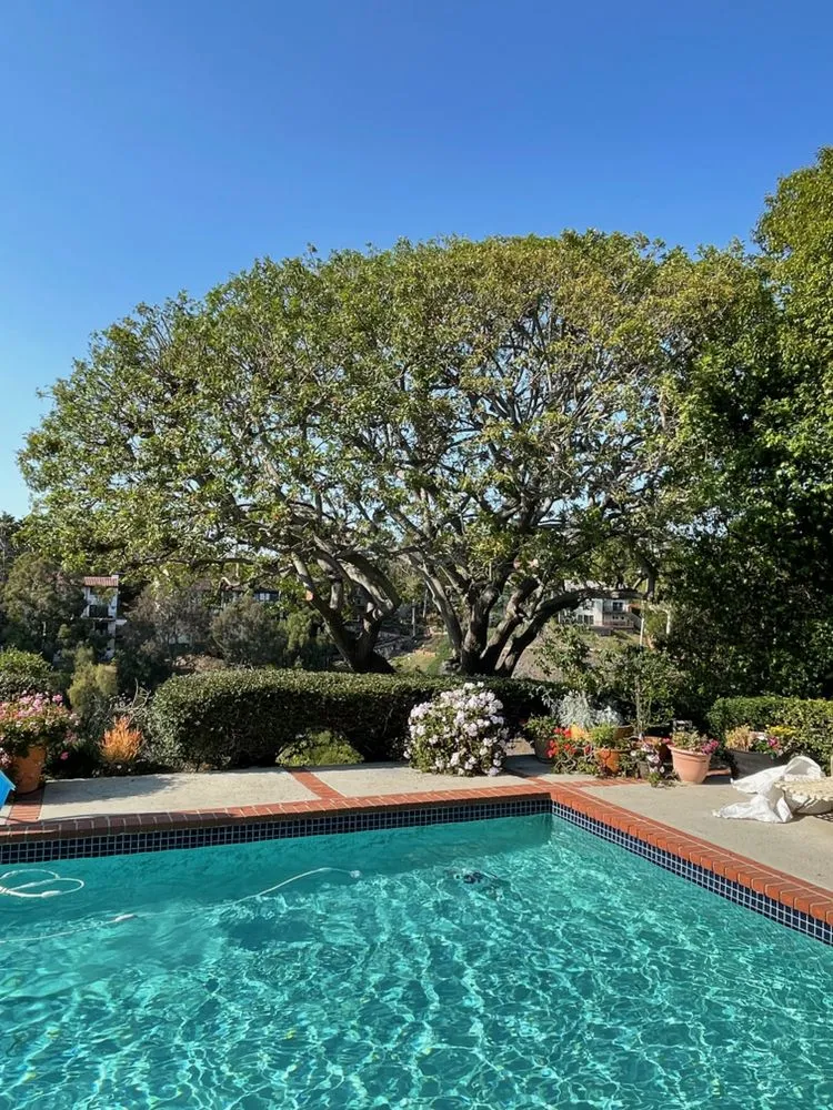 Custom garden landscaping for year-round maintenance across Long Beach, CA - Phil's Arbor Care