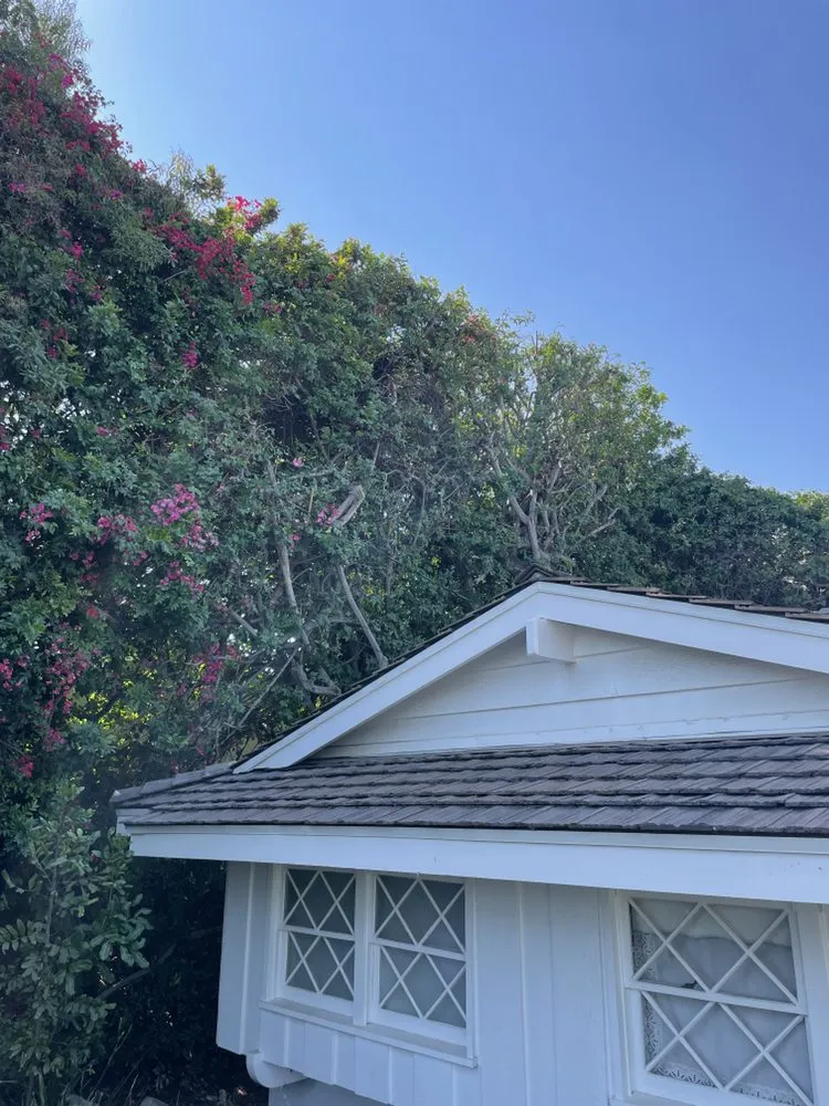 Affordable landscape design in Long Beach, CA - Phil's Arbor Care