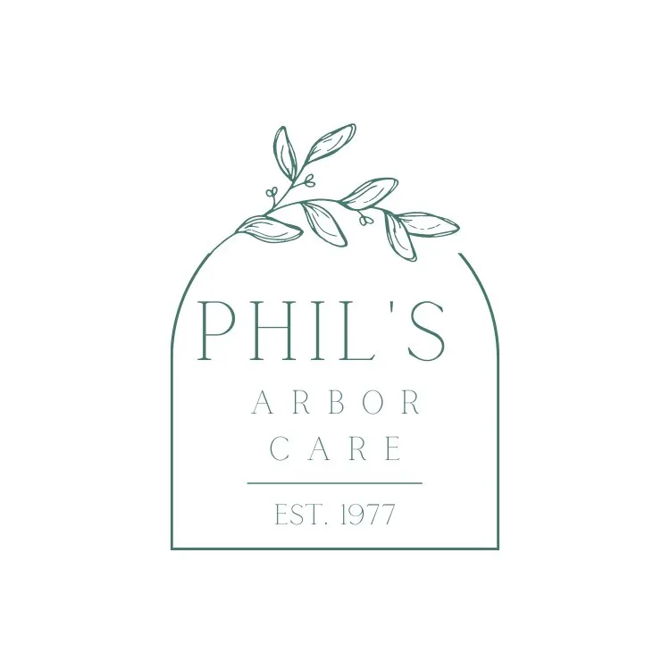 Professional landscape installation for homes across Long Beach, CA - Phil's Arbor Care
