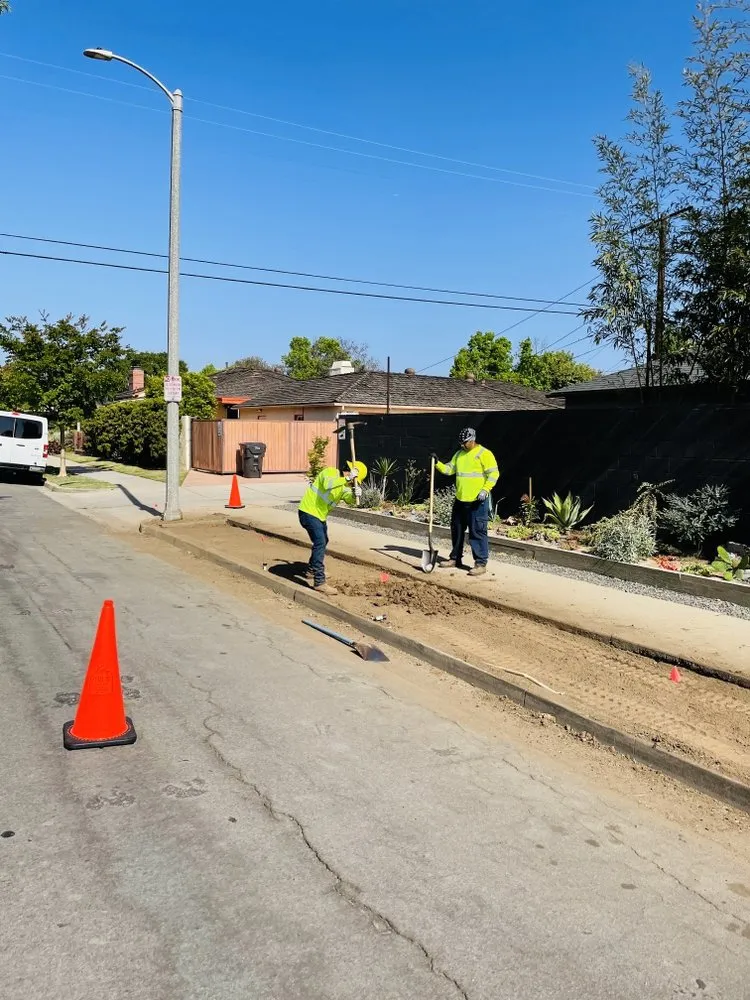 Affordable residential landscaping experts serving Long Beach, CA - Phil's Arbor Care