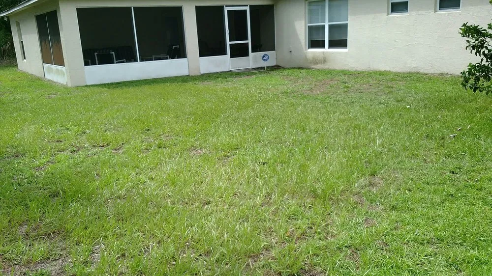 Custom landscape design for year-round maintenance across Palm Coast, FL - Phil's Handyman Services