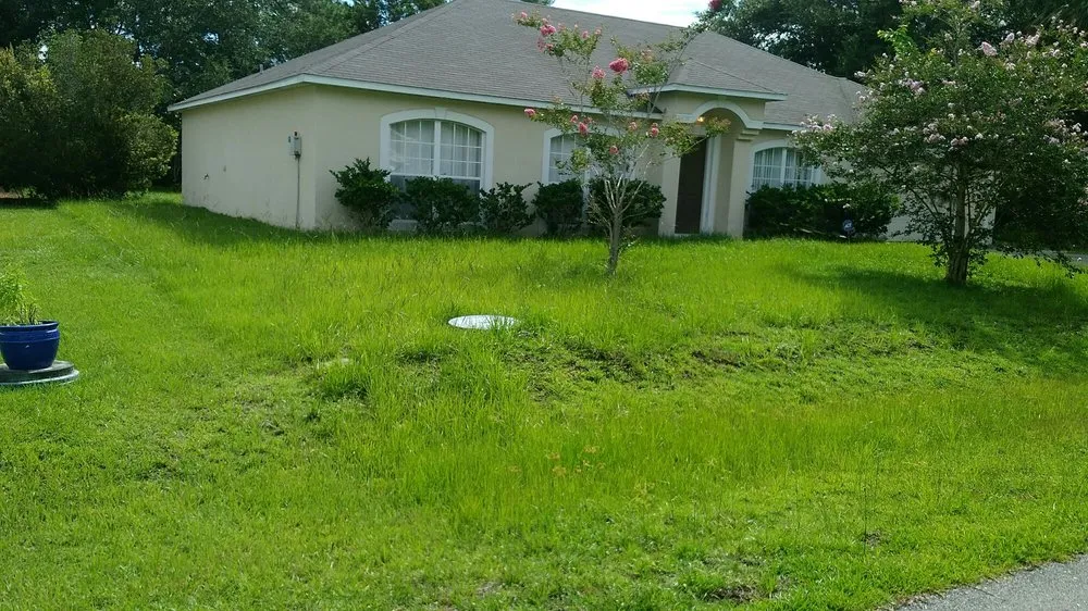 Professional landscape design experts serving Palm Coast, FL - Phil's Handyman Services