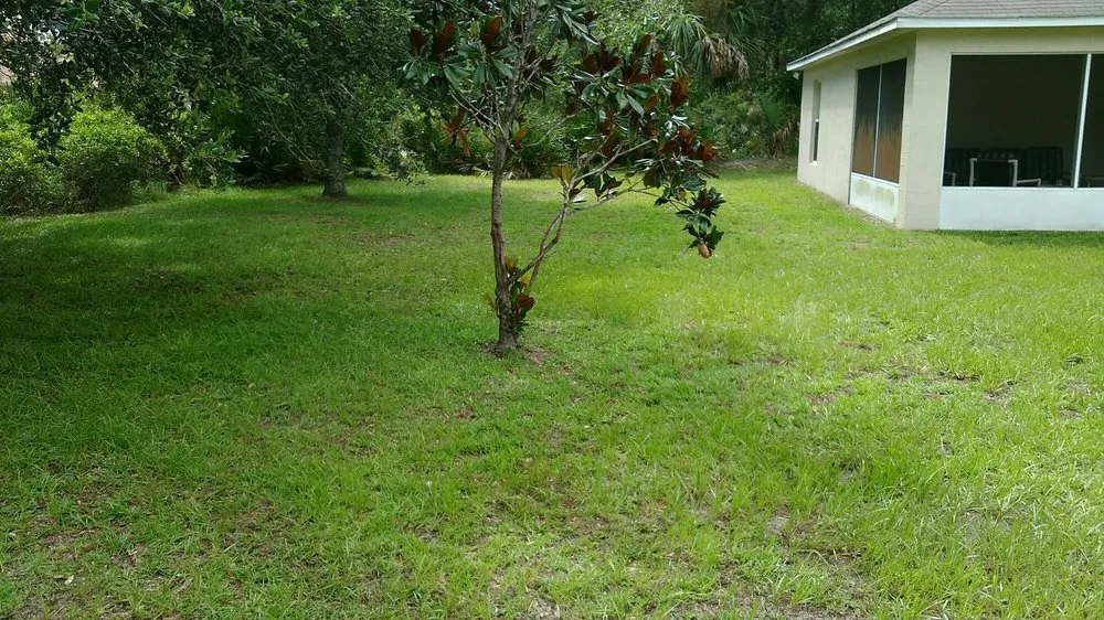 Local outdoor landscaping experts serving Palm Coast, FL - Phil's Handyman Services