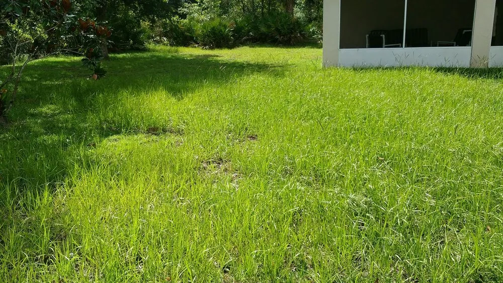 Reliable landscape installation experts serving Palm Coast, FL - Phil's Handyman Services