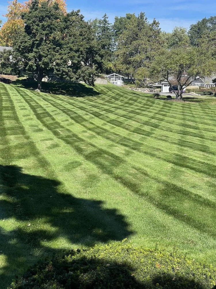 Expert lawn mowing service in Livonia, MI by Phil's Improvements & Lawn Service