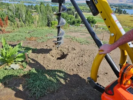 Trusted yard cleanup service in Ogden, UT by Phils Landscaping