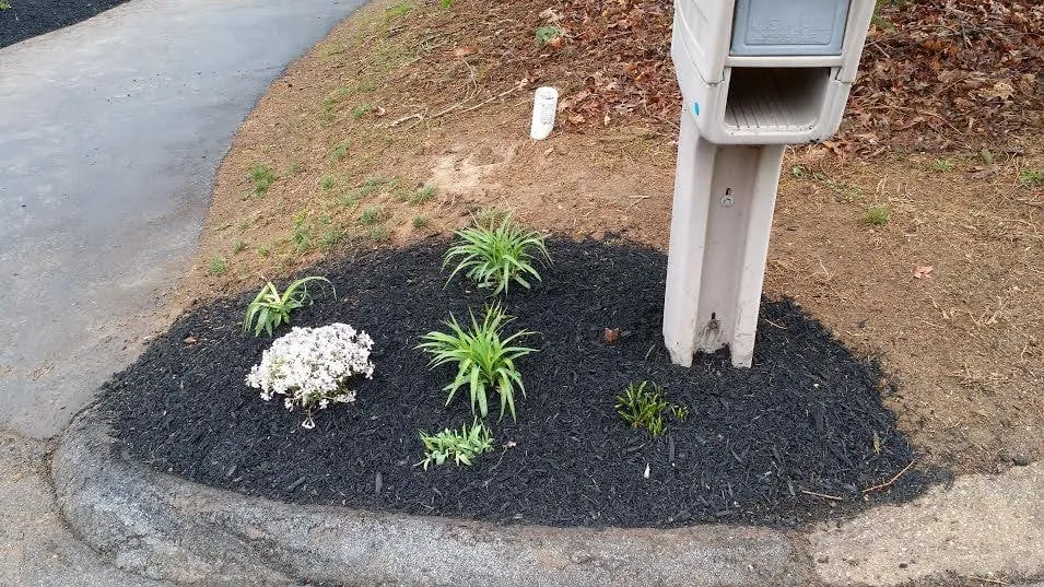 Custom yard cleanup service for residential properties across Westminster, MD - Phil's Lawn Care