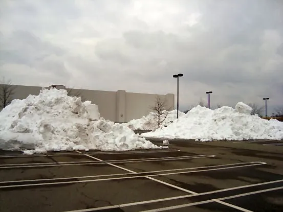 Affordable yard maintenance experts serving Westminster, MD - Phil's Lawn Care