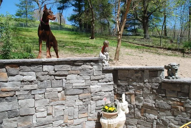 Local residential landscaping in Westminster, MD by Phil's Lawn Care