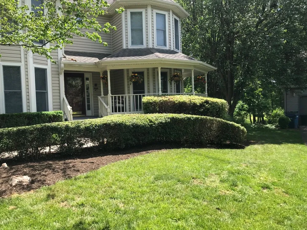 Expert yard maintenance in Burke, VA by Phil's Lawn Mowing