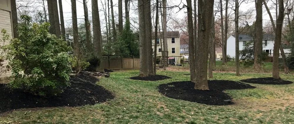 Local landscape installation with custom design in Burke, VA by Phil's Lawn Mowing