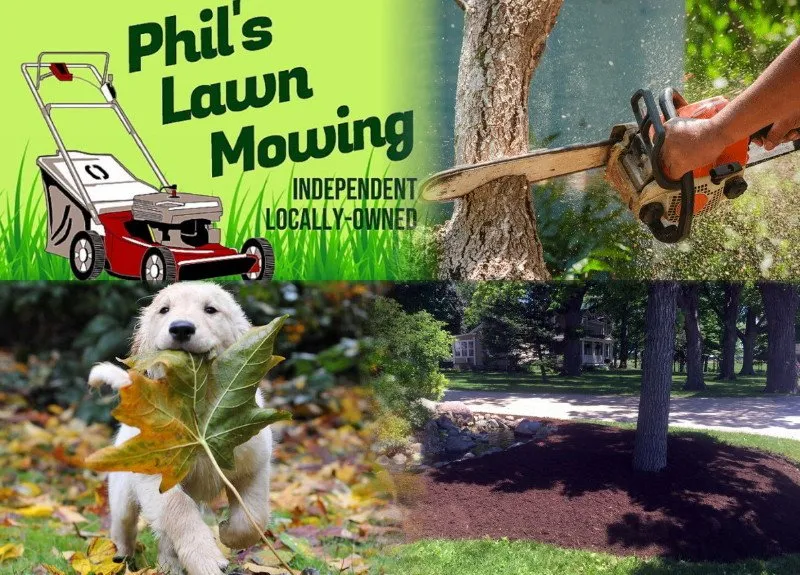 Local yard maintenance near you across Burke, VA - Phil's Lawn Mowing