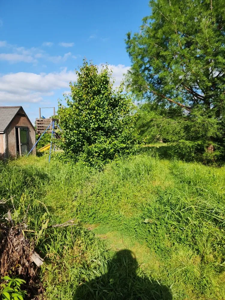 Expert landscape installation for beautiful yards in Alvarado, TX by Phil's Mowing