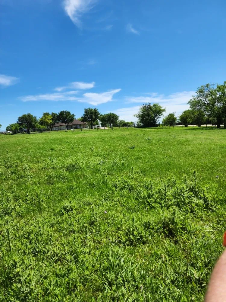 Trusted landscape installation in Alvarado, TX - Phil's Mowing