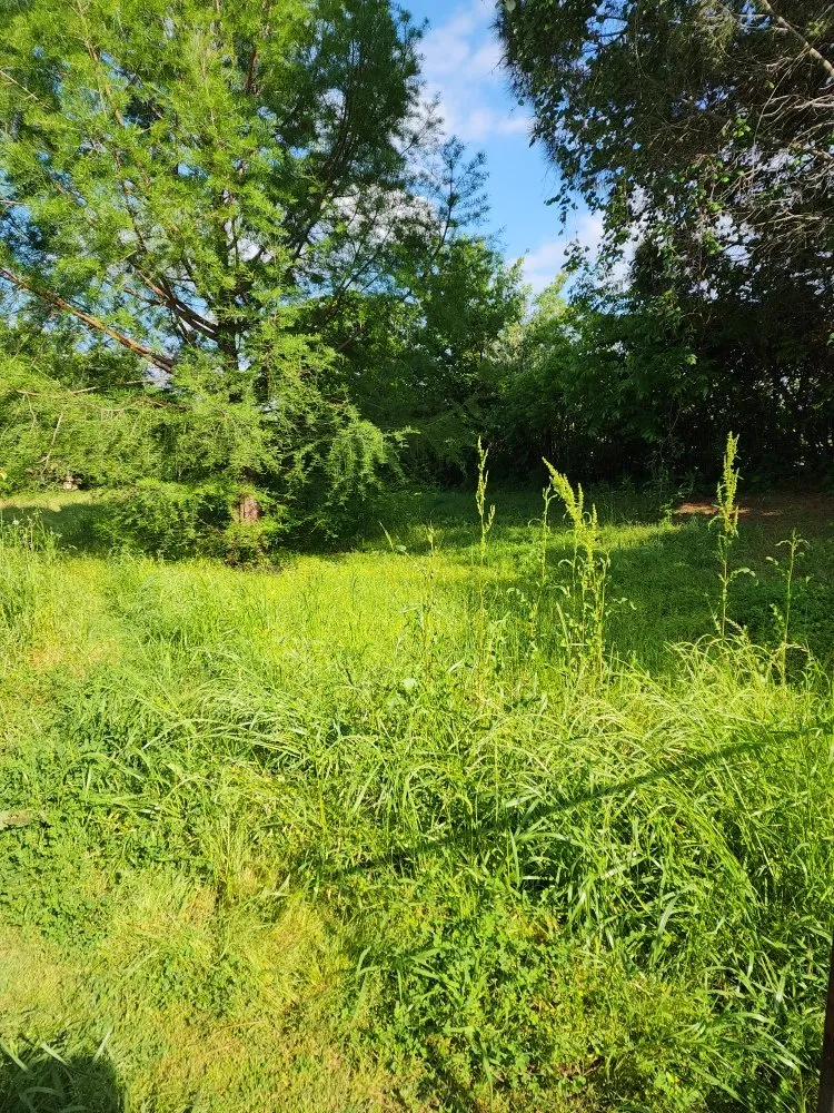 Reliable lawn mowing service for homes across Alvarado, TX - Phil's Mowing