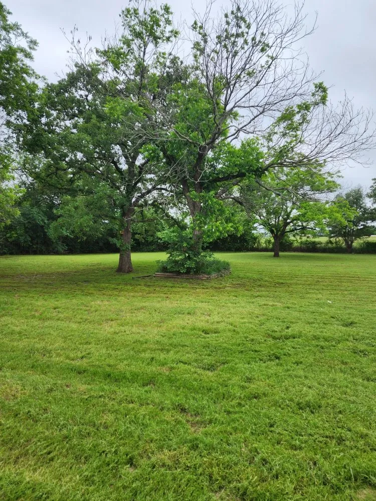 Professional lawn care service for outdoor upgrades in Alvarado, TX by Phil's Mowing