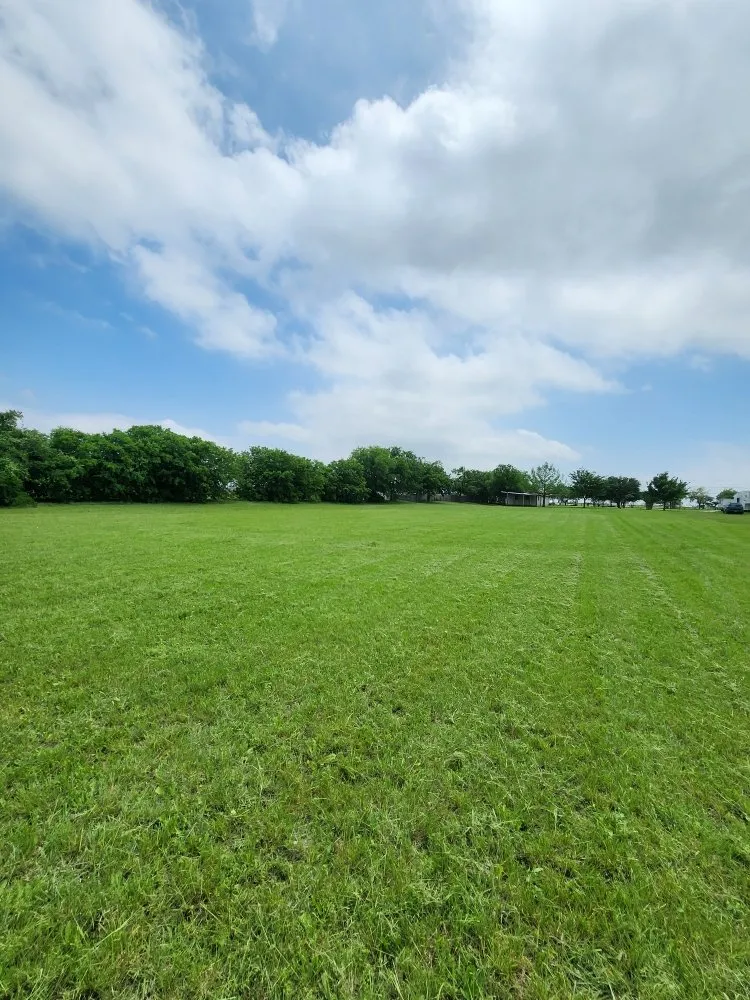 Top-rated garden landscaping near you across Alvarado, TX - Phil's Mowing