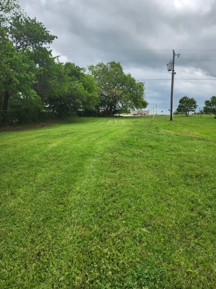 Affordable landscape design experts serving Alvarado, TX - Phil's Mowing