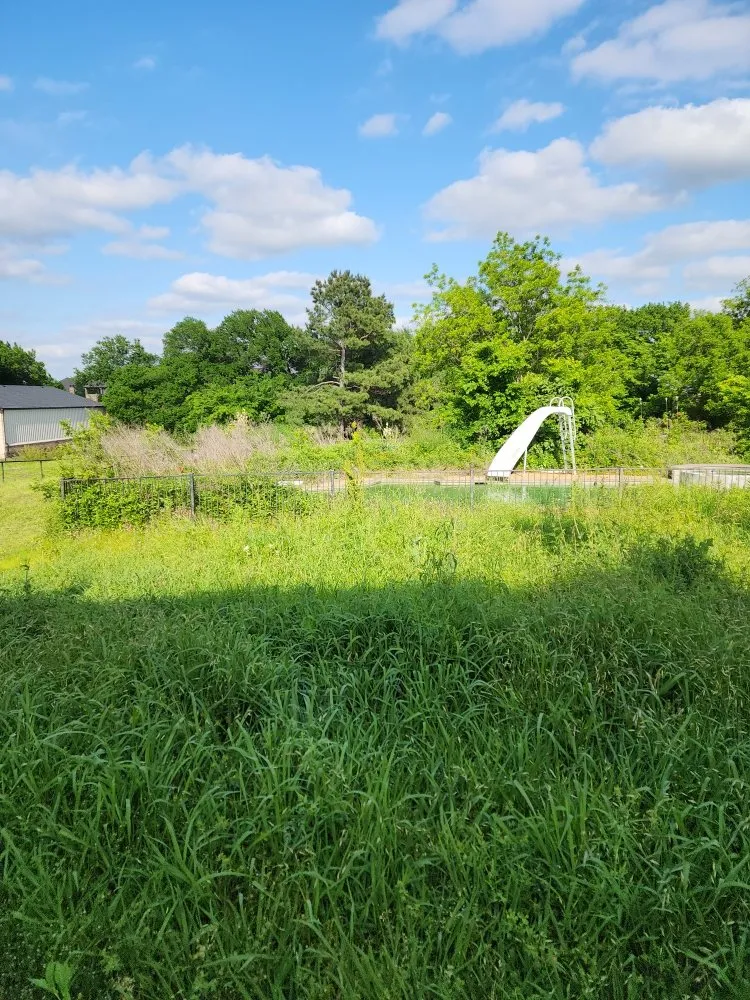 Affordable landscaping services in Alvarado, TX - Phil's Mowing