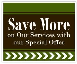 Affordable yard maintenance near you across Jackson, NJ - Phil's Tree Service