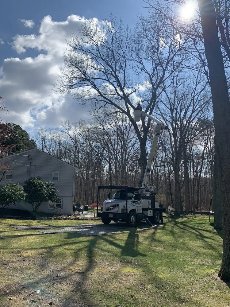 Expert lawn mowing service in Jackson, NJ by Phil's Tree Service