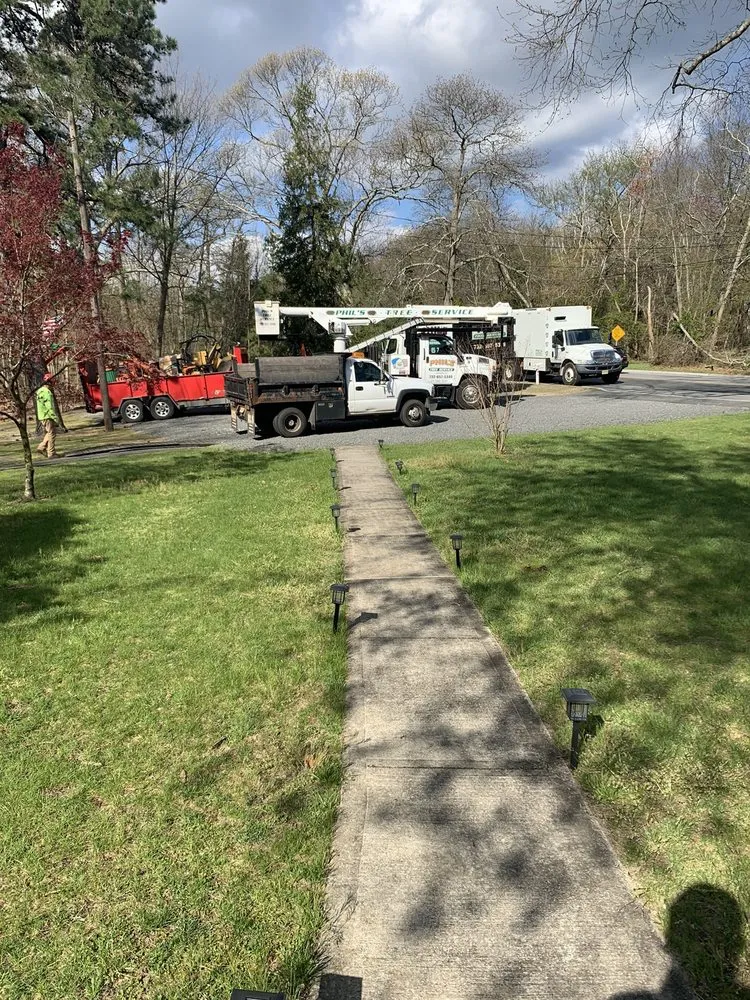 Custom lawn mowing service for year-round maintenance across Jackson, NJ - Phil's Tree Service