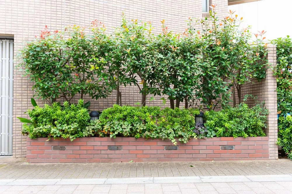 Professional landscaping services in Crum Lynne, PA - Philz Landscaping