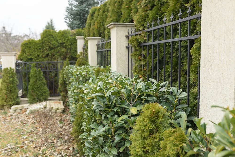 Expert yard maintenance with custom design in Crum Lynne, PA by Philz Landscaping