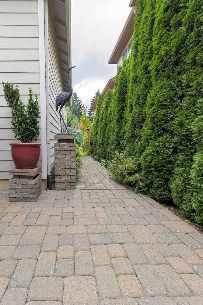 Top-rated lawn mowing service in Crum Lynne, PA by Philz Landscaping