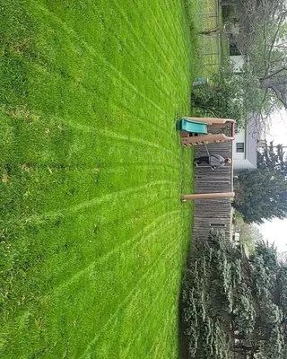 Phinney & Russo Lawncare Logo