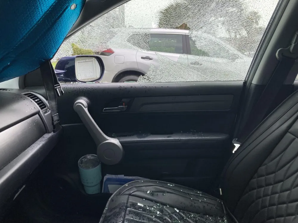 Local lawn care service for residential properties across Conway, SC - Phoenix Coastal