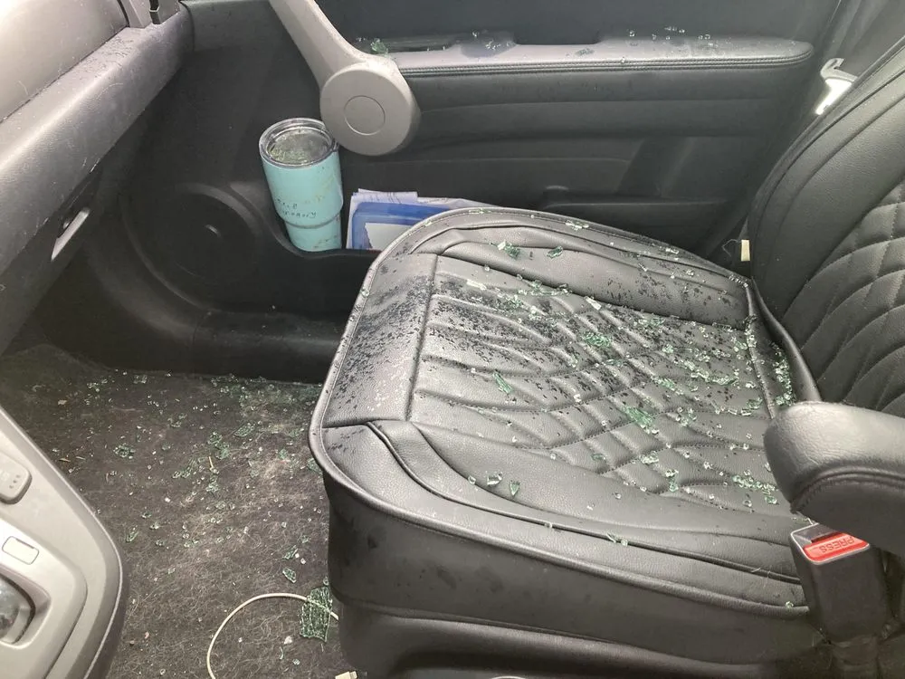 Custom landscape installation for outdoor upgrades across Conway, SC - Phoenix Coastal