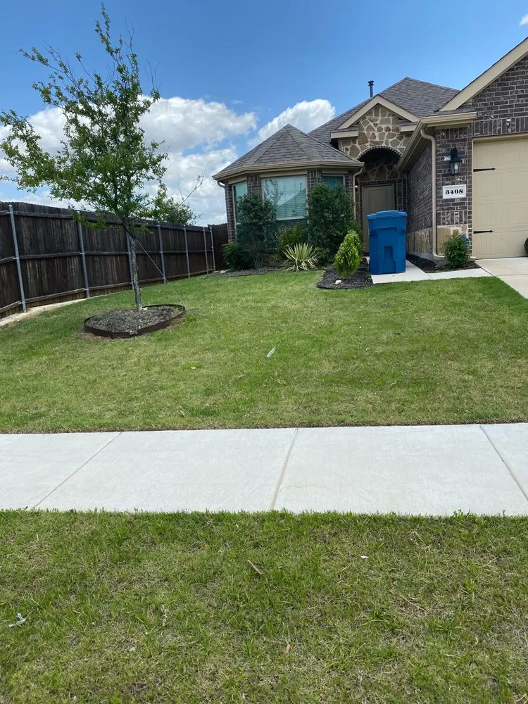 Expert residential landscaping in Lewisville, TX - Phoenix Contracting Agency