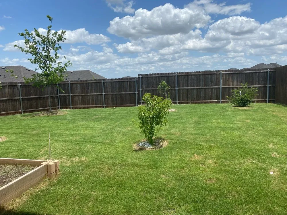 Affordable landscape installation near you across Lewisville, TX - Phoenix Contracting Agency
