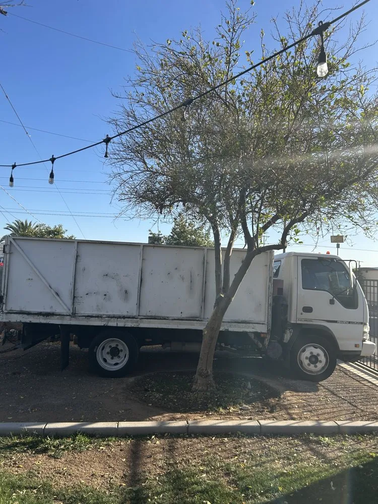 Custom outdoor landscaping for year-round maintenance across Phoenix, AZ - Phoenix eco-friendly services