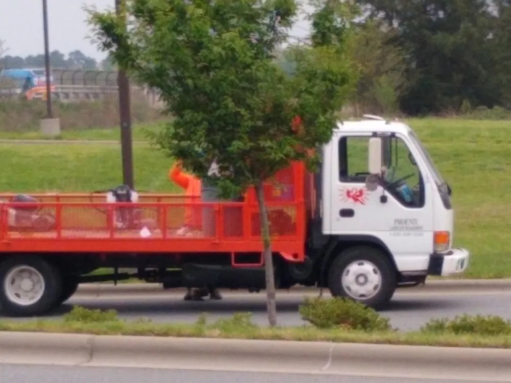 Local residential landscaping in Harrisburg, NC - Phoenix Landscape Management