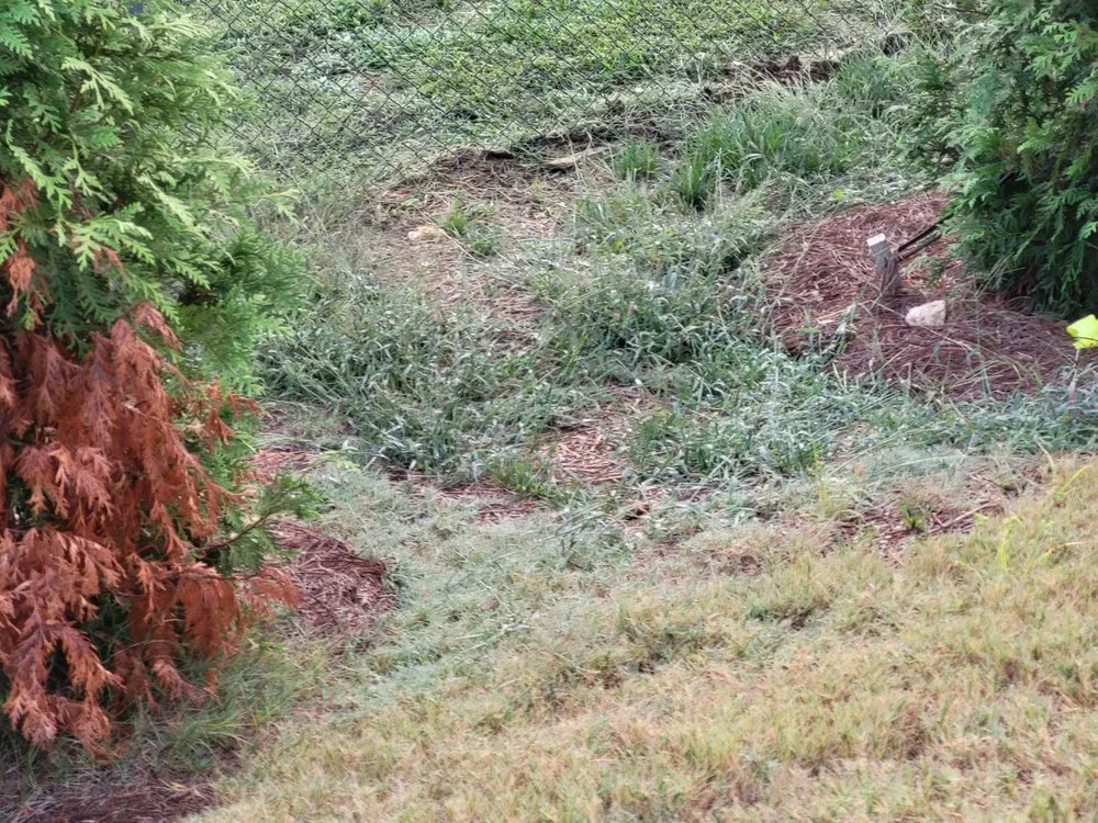 Professional landscaping services for residential properties across Conway, SC - Phoenix Landscape of Coastal C