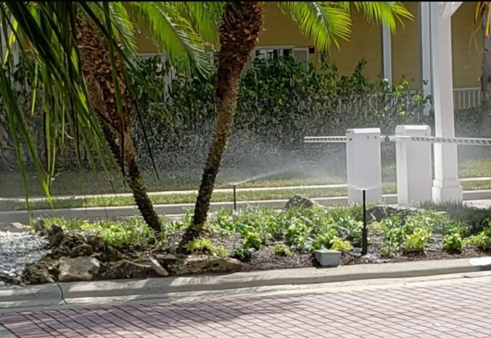 Expert yard cleanup service in Titusville, FL by Phoenix Landscape Solutions