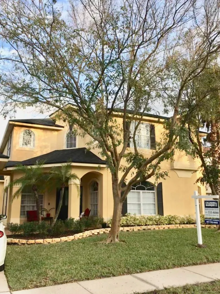 Professional landscape installation experts serving Titusville, FL - Phoenix Landscape Solutions