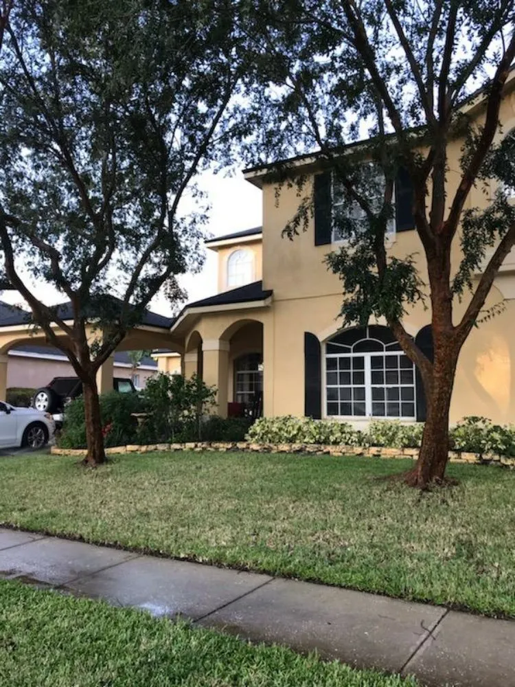 Expert yard cleanup service with custom design in Titusville, FL by Phoenix Landscape Solutions