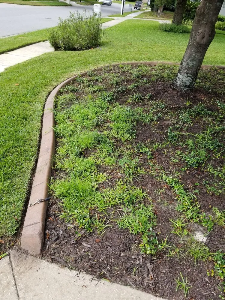 Local garden landscaping for year-round maintenance across Titusville, FL - Phoenix Landscape Solutions